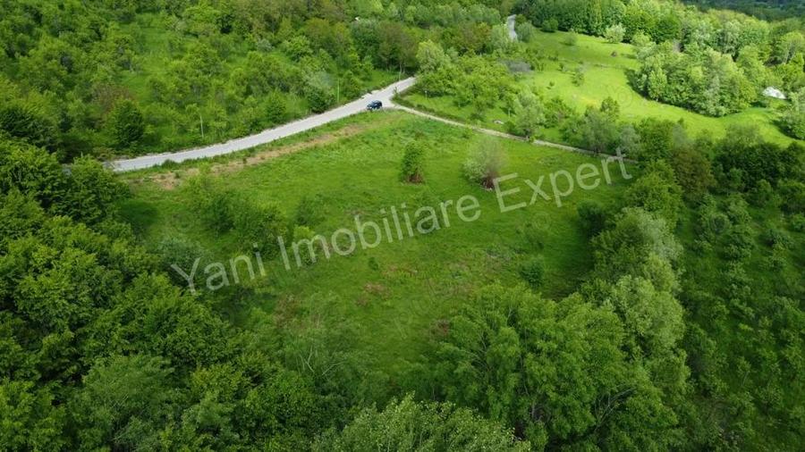 Teren de vanzare in comuna Corbi, jude? Arge?. - 15