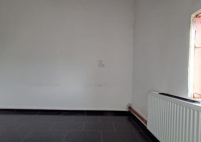 Spatiu comercial suprafete intre 130-87-217 mp zona Plevnei - 11