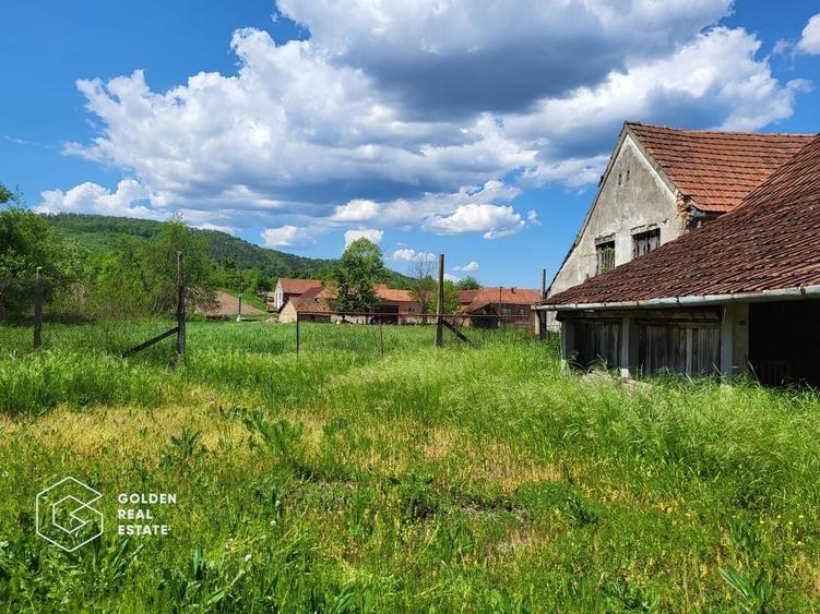 Casa  cu 3 corpuri de cladire, sat Lalasint - 22