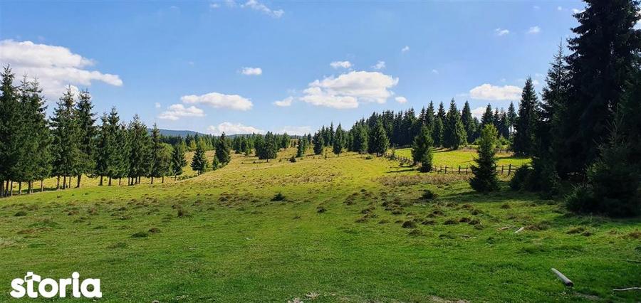 Teren de 10800 mp, în Beliș