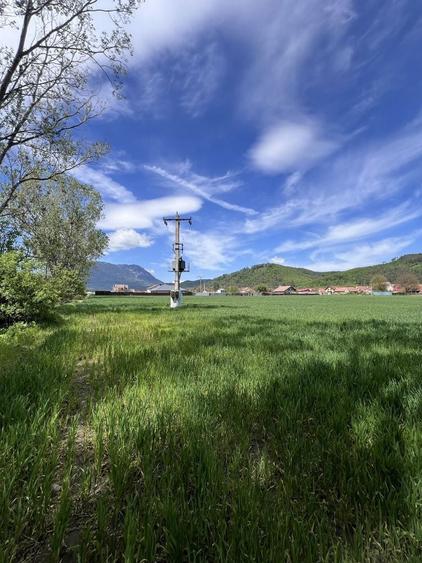 Teren de vanzare Brasov | Intravilan | Zarnesti 1150m2 - 3