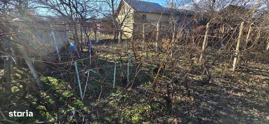 Casa Beciu de vanzare, la 2 km de Odobesti si 12 de Focsani - 6