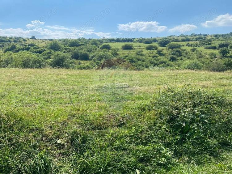 Teren de vanzare 8,700 mp Tarlungeni, comision 0 cumparator