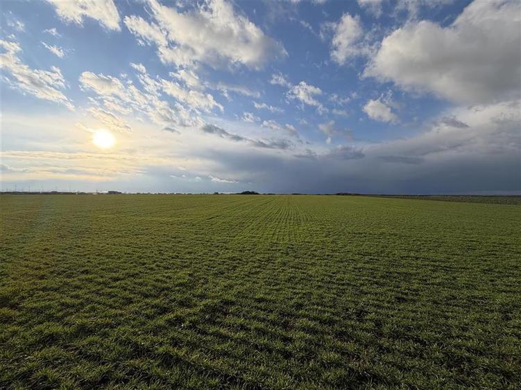 TEREN INTRAVILAN 24457 MP | 80 ML FRONT STRADAL | ORADEA | BIHOR - 2