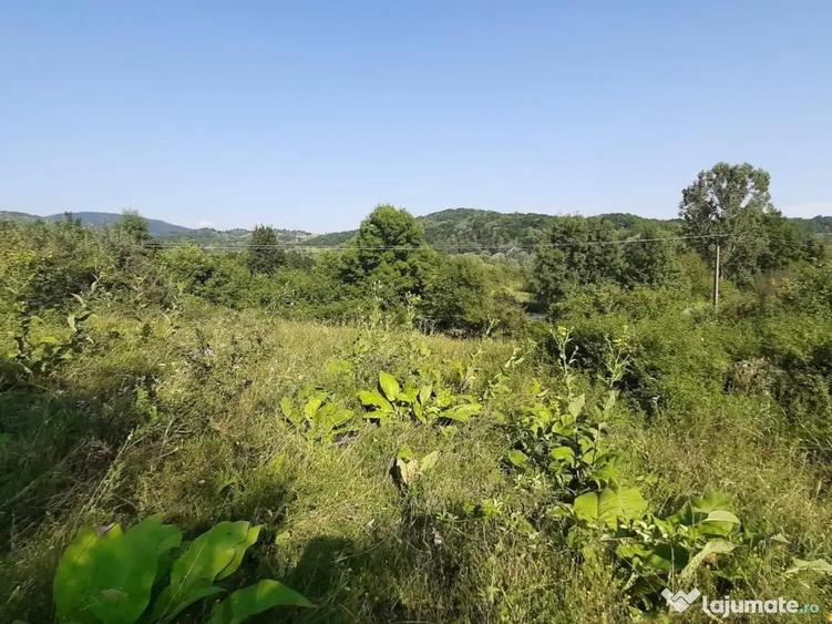 Teren superb Valcanesti Prahova - 3