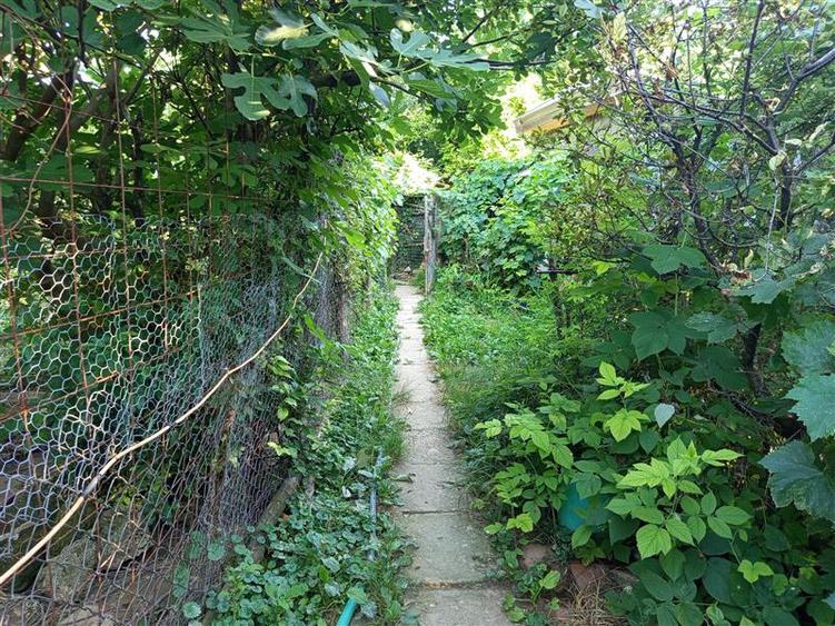 Ilidia, Casa 8 Incaperi, 744mp Teren, Zona Turistica, Pret Usor Negociabil - 21