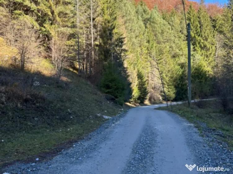 Teren 2.882 mp oportunitate investitie - Cheile Dambovi - 8