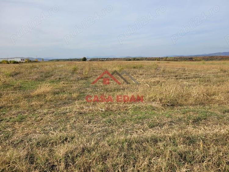 Teren intravilan in Baicoi zona targului--10.000mp--5e - 4