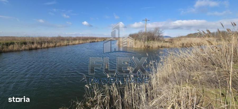 Vanzare Teren Delta Dunarii 3.83 Ha - Oportunitate - 5