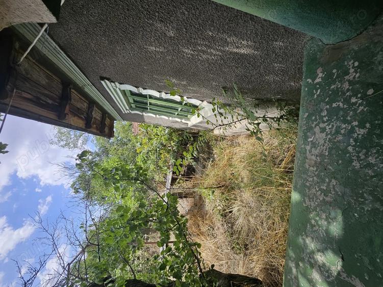 Gospodarie cu 2 case Comuna Trivale Mosteni, sat , la 30 km de Alexandria, jude?ul Teleorman - 10