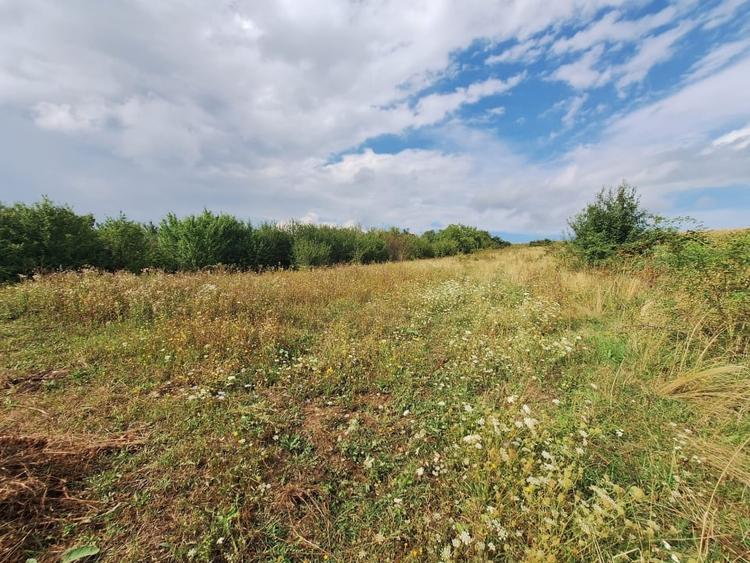 Oportunitate! Teren intravilan de vanzare, 2000 mp., Tureni - 5