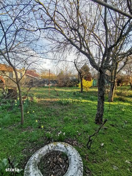 Casa cu teren 1.000 mp in Frumu?ani, aproape de Bucure?ti - 8