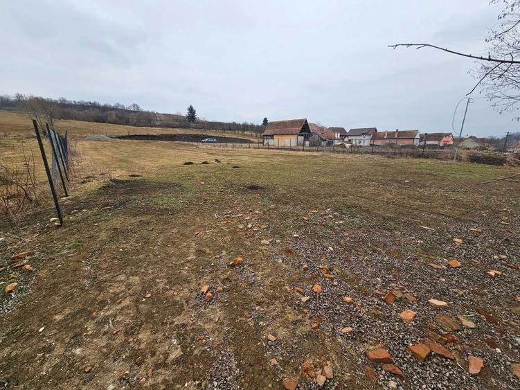 Teren intravilan Hamba - 2