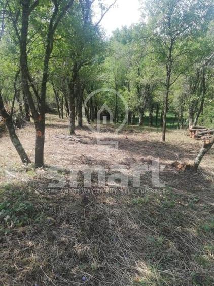 Teren intravilan cu CF 5400mp front 17 Savadisla jud Cluj - 2