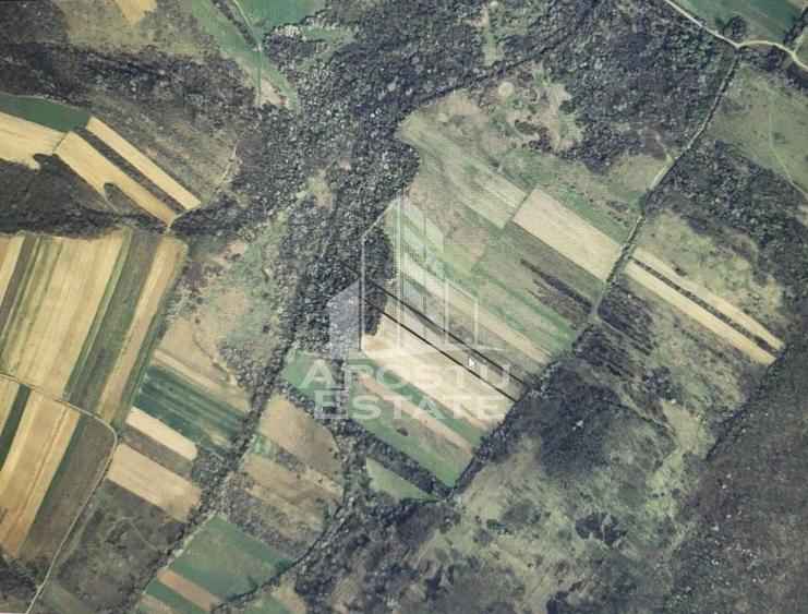 Teren agricol extravilan de 15224 mp, în Bârsa