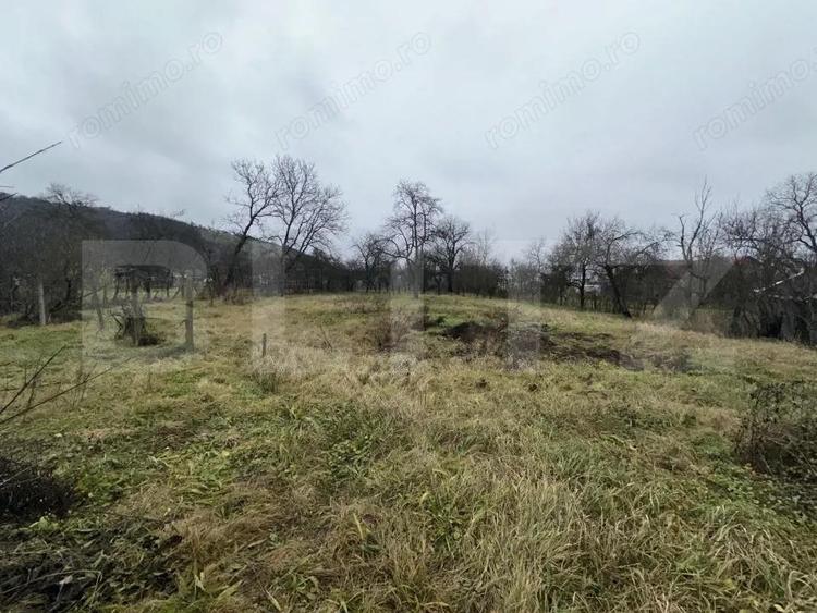 Teren 3000 mp + 2 case de vanzare-Ca?eiu - 20