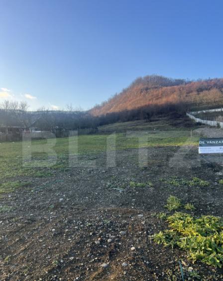 Teren generos 8.5 Ari, Zona VIlla Franca-ideal constructie c - 2