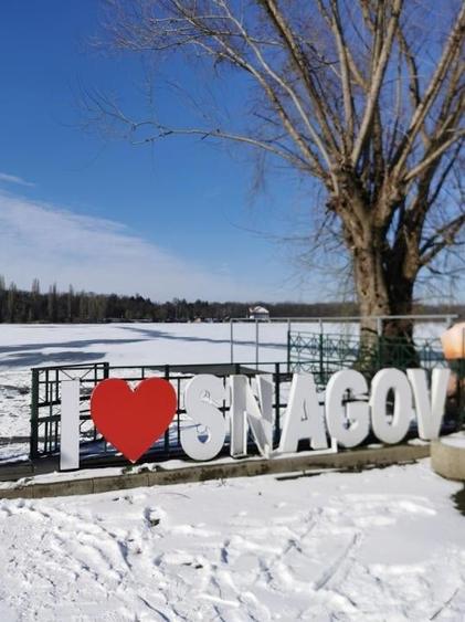 Vila superba in Snagov langa padure - 2