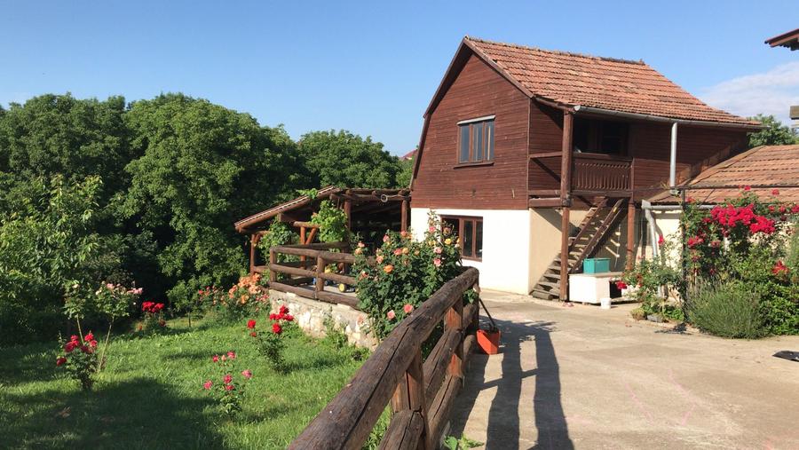 Vand sau schimb casa 4 camere cu 2600 mp teren, Central, Reghin, Mures - 4