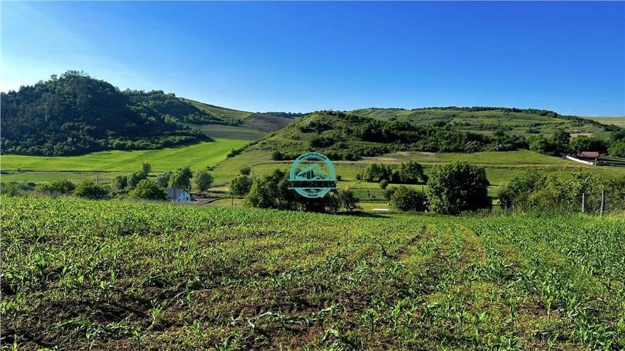 Vand teren intravilan in Sanisor cu suprafata de 4946 mp - 1