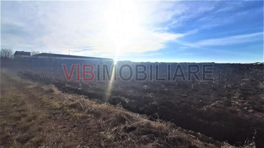 Otopeni - Strada Alexandru Ioan Cuza - 2