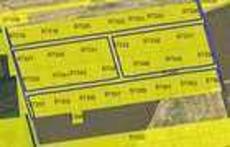 Balotesti Albinelor 4600mp oportunitate - 7