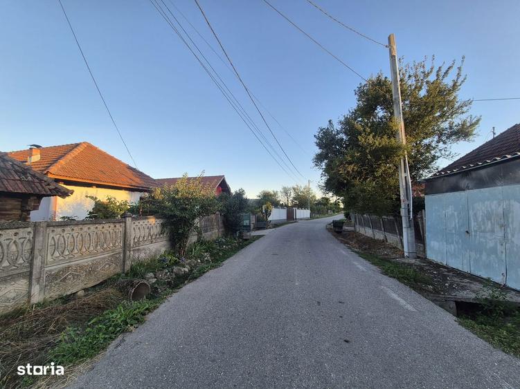 Casa cu 3 camere ?i teren generos de 4820 mp - 6