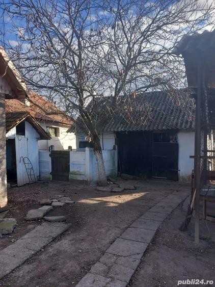 vand casa Cociuba Mare Bihor - 4