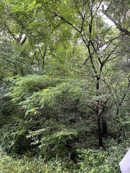 VAND TEREN PENTRU CONSTRUCTII, COM.CETATENI - ARGES - 2