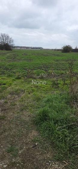 1 DECEMBRIE - TEREN 2500 MP