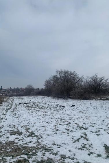 Vanzare suprafata compacta 35 000mp  Tarla 31 Petrechioaia - 6