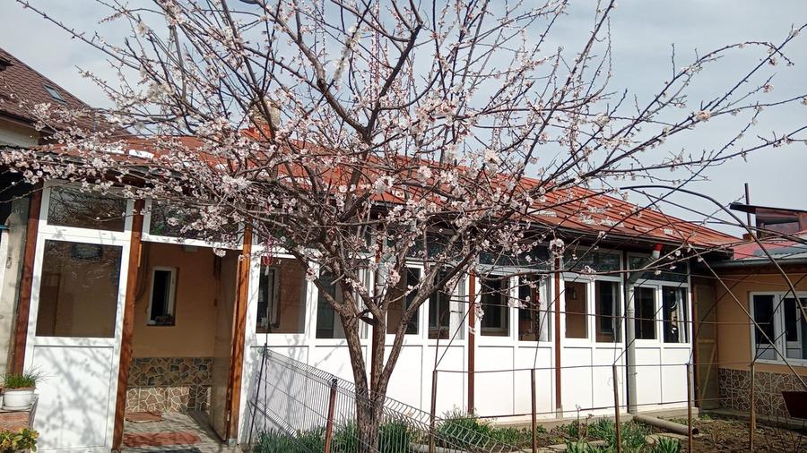 Casă de vânzare Fundeni, 4 dormitoare, 136 mp + teren 300 mp, mobilată - 9