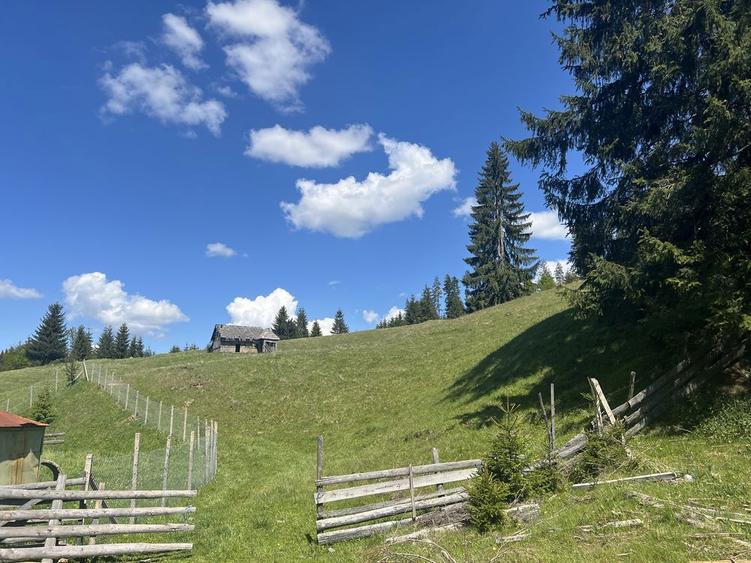 Teren de vanzare Tihuta - 2