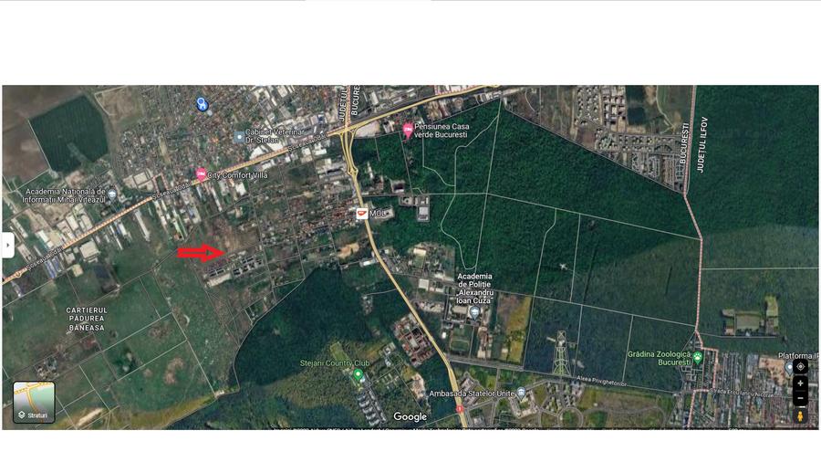 Pădurea Băneasa - 2