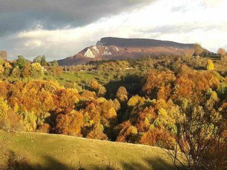 Vand casa la munte - 7