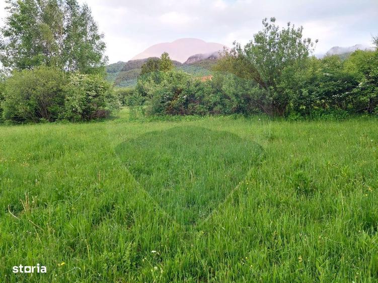 Teren Bran-Zarnesti - Tohanita, 4223mp - 8