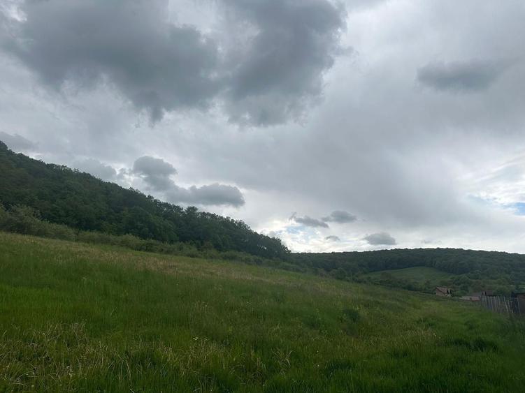 Teren de vanzare - 5