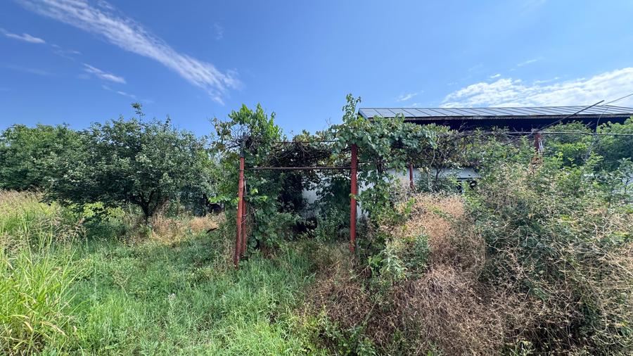 Casă parter + mansardă, 115 mp, teren 2000 mp – lângă Lacul Mostiștea - 7