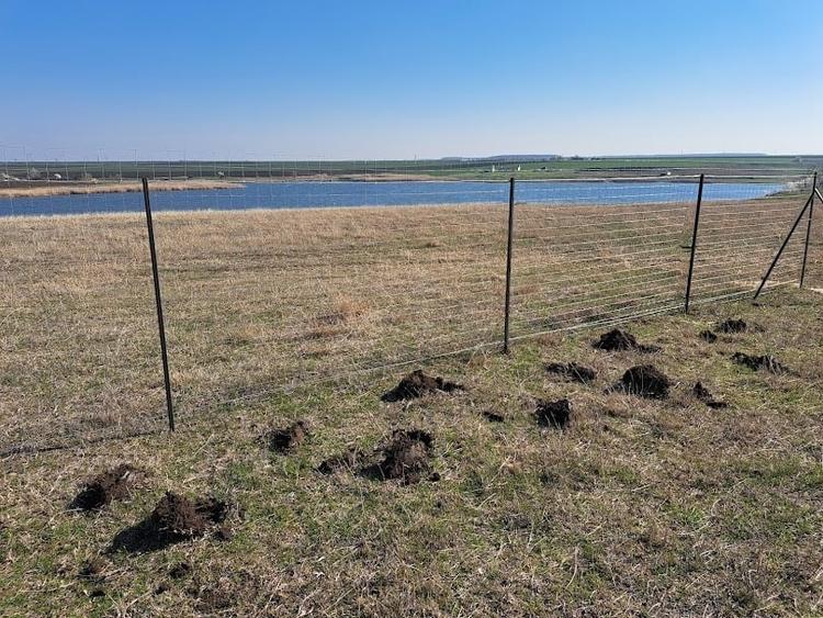 Teren intravilan 600 mp – pentru casă sau escapade de weekend, 35 km Bucuresti - 2