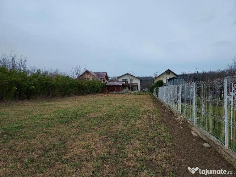 Teren 2793mp (langa padure si zona de agrement + helesteu) - 1