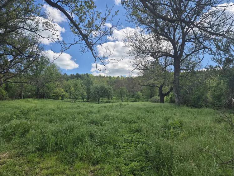 Vand loc de casa Goruia - 2