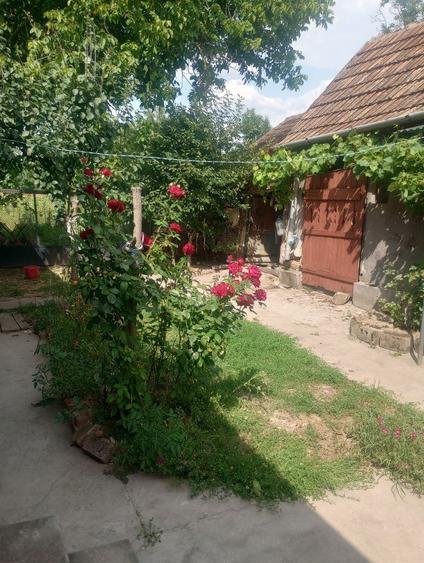 Casa la tara Judetul Arad - 2