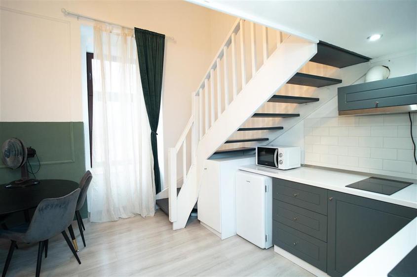 Apartament ultracentral tip Loft - 12