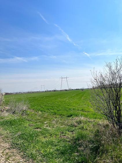 De vanzare lot teren intravilan Dumitrana Magurele - 8