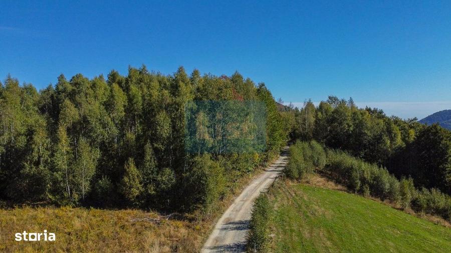 Comision 0% teren intravilan 1000 mp, PUZ, priveliste, Baisoara - 10