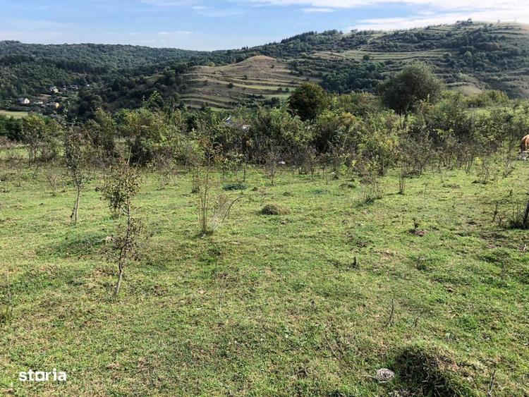 Teren Intravilan cuprins in PUG, 5100 mp, Tauti - 1