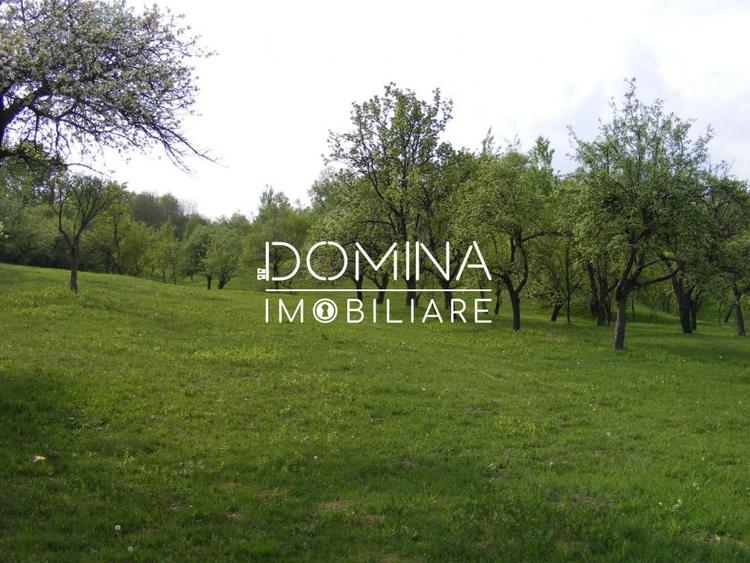 Inchiriere loturi de teren in Comuna Runcu – sat Sanatesti - 8