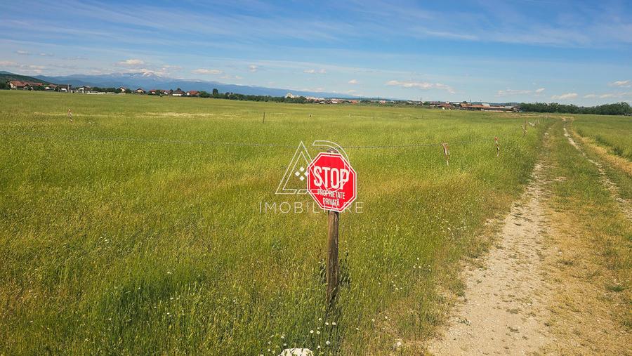 Teren agricol extravilan de 300 mp, în 9 Mai