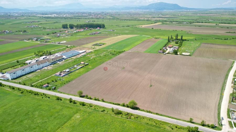 Teren Construcții intravilan de 31800 mp, în Sânpetru