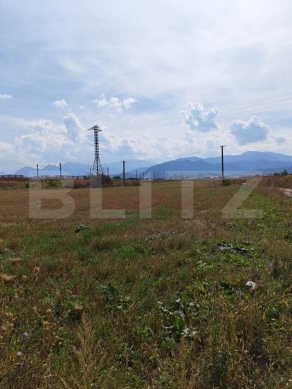 Teren Construcții intravilan de 15924 mp, în Bartolomeu